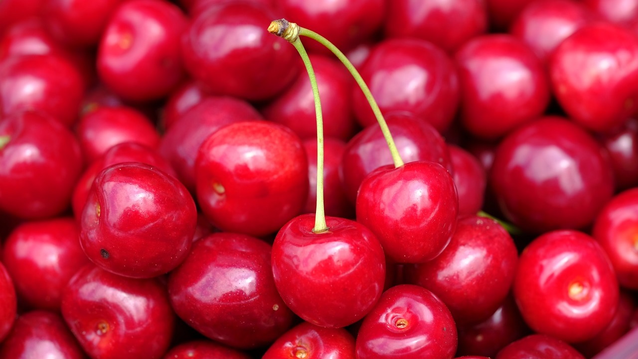 Cómo mejorar la calidad poscosecha de las cerezas y las ciruelas.jpg